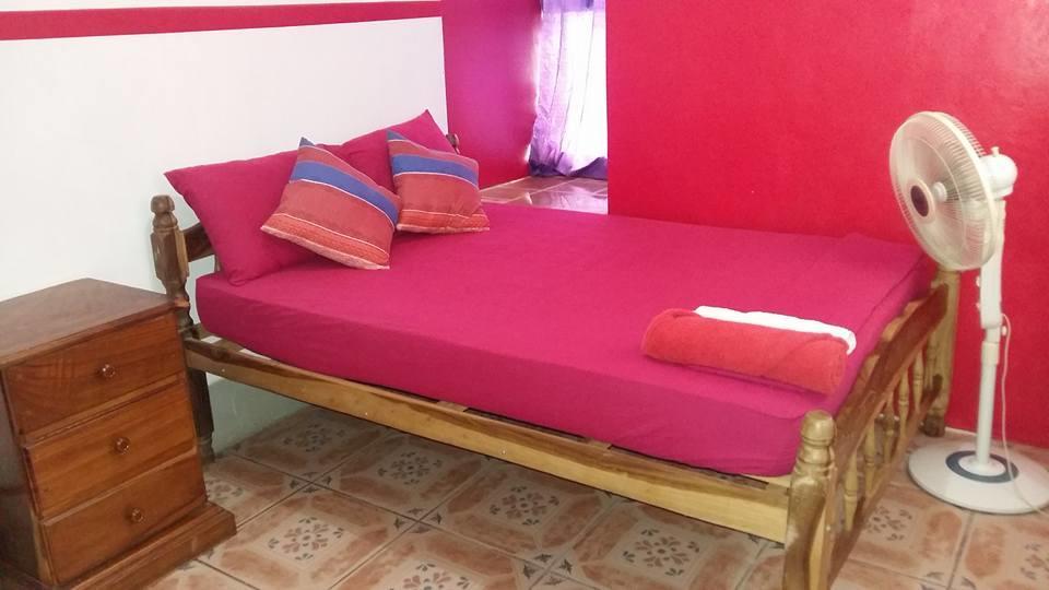 Hostal Mochilas غرناطة المظهر الخارجي الصورة